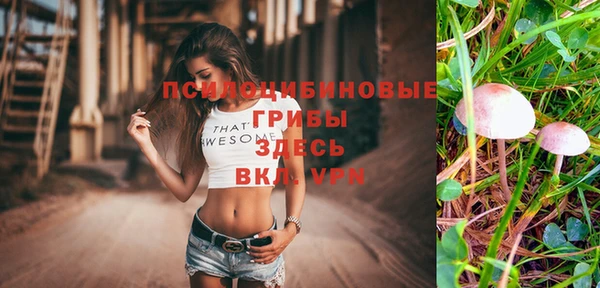 мдма Зеленокумск