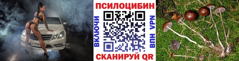 Галлюциногенные грибы мицелий  закладки  Инта 